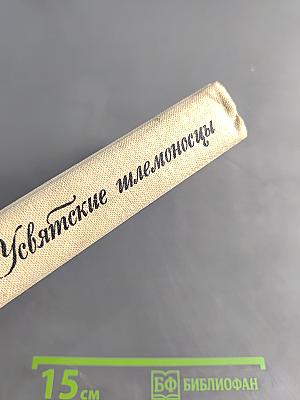 Усвятские шлемоносцы