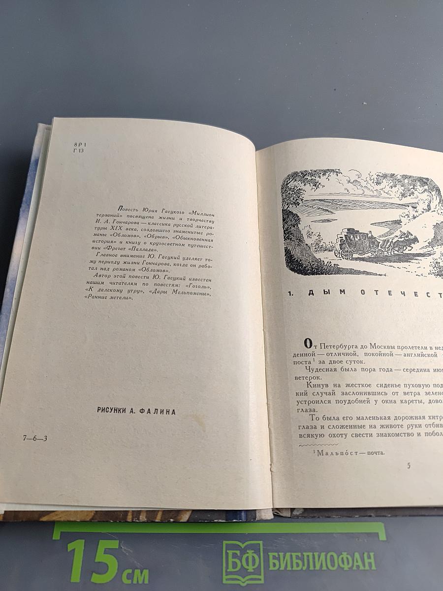 Миллион терзаний