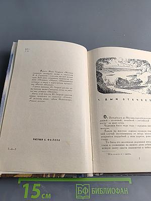 Миллион терзаний