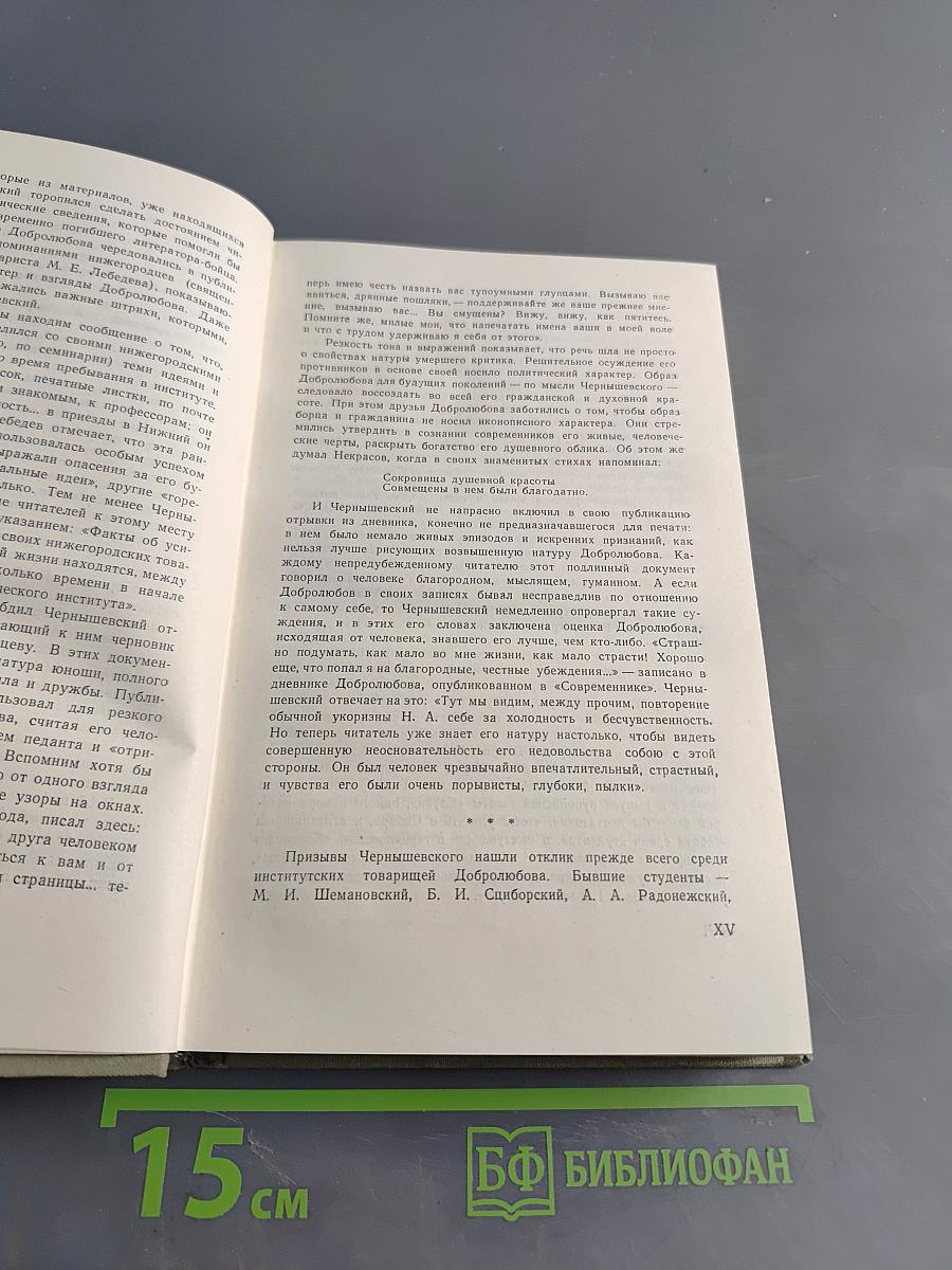 Н. А. Добролюбов в воспоминаниях современников