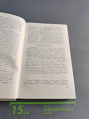Н. А. Добролюбов в воспоминаниях современников