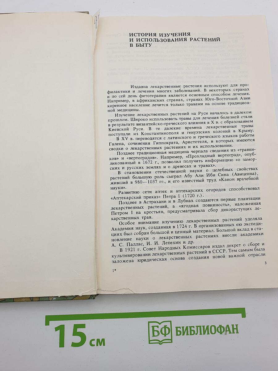 Лекарственные растения на приусадебном участке