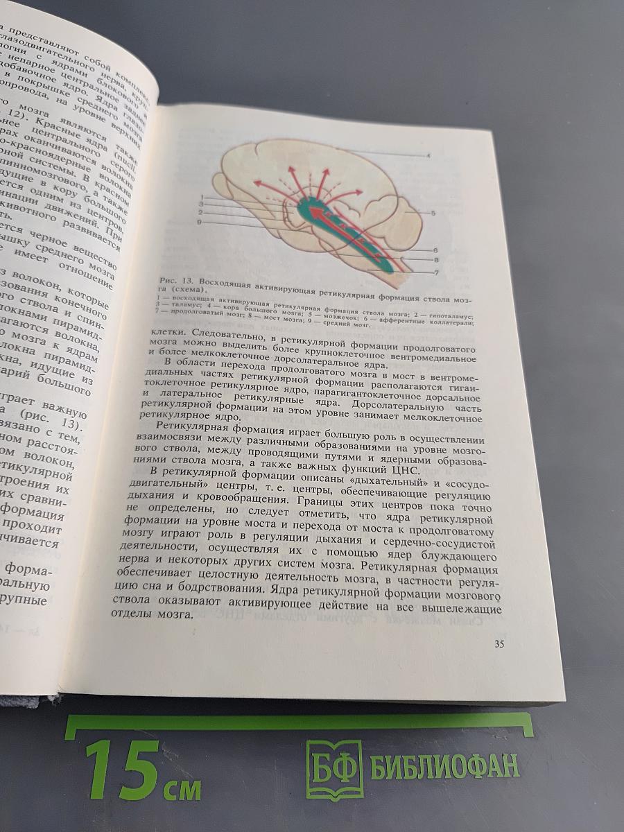 Нервные болезни