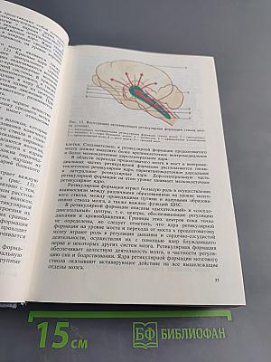 Нервные болезни
