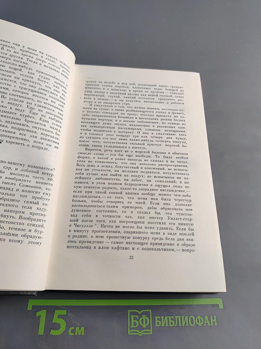 Собрание сочинений. Том девятый. Американские заметки. Картины Италии