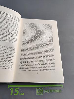 Собрание сочинений. Том девятый. Американские заметки. Картины Италии