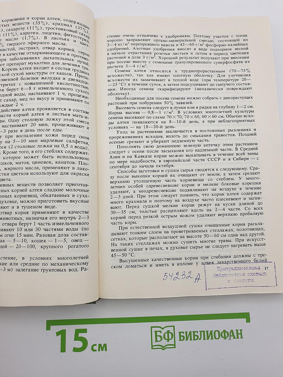 Лекарственные растения на приусадебном участке