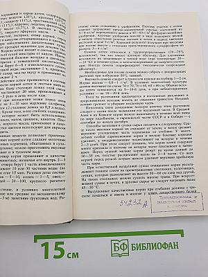 Лекарственные растения на приусадебном участке