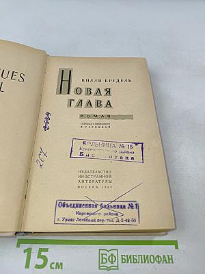 Новая глава