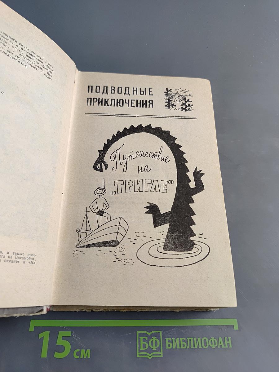 Белые киты