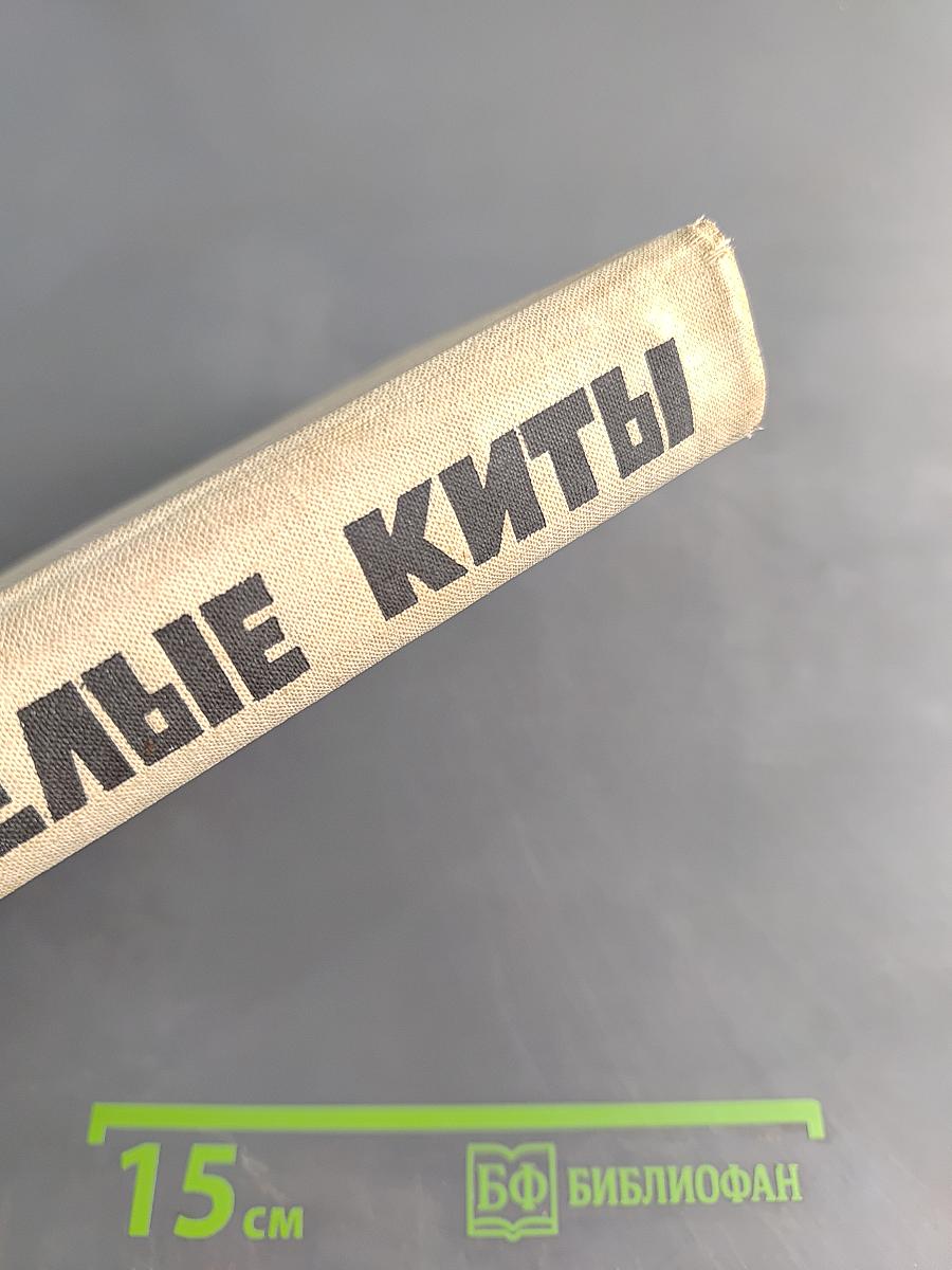 Белые киты