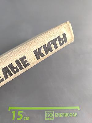 Белые киты