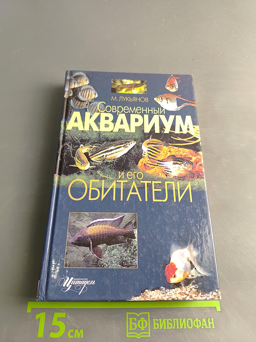 Современный аквариум и его обитатели