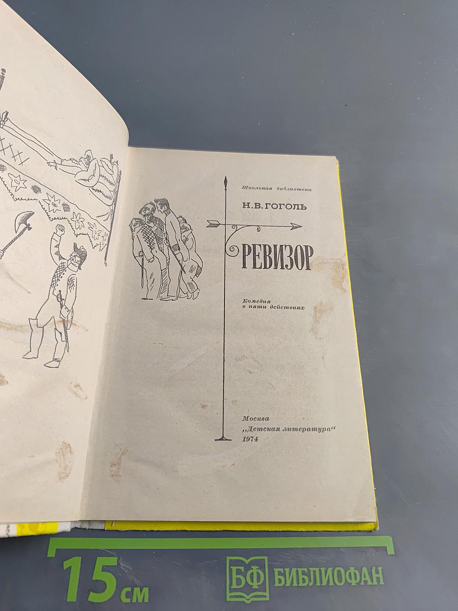 Ревизор (Школьная библиотека)