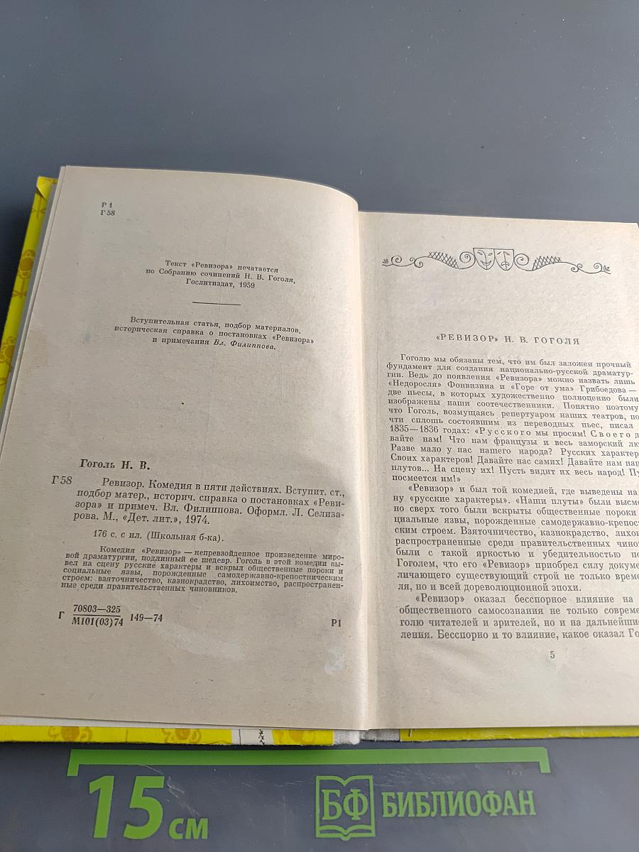 Ревизор (Школьная библиотека)