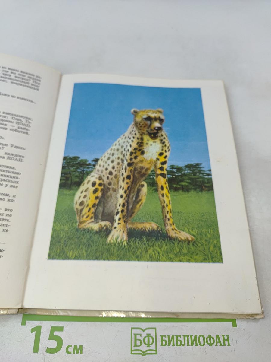 Коапп Коапп Коапп