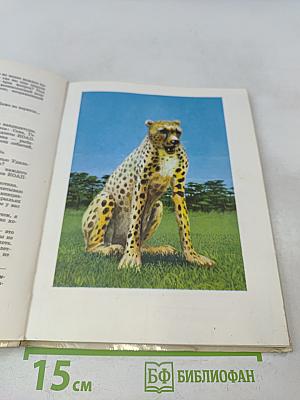 Коапп Коапп Коапп