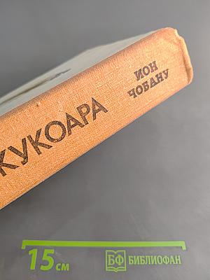 Мосты Кукоара