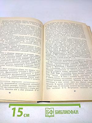 Комплексная диагностика опухолей костей