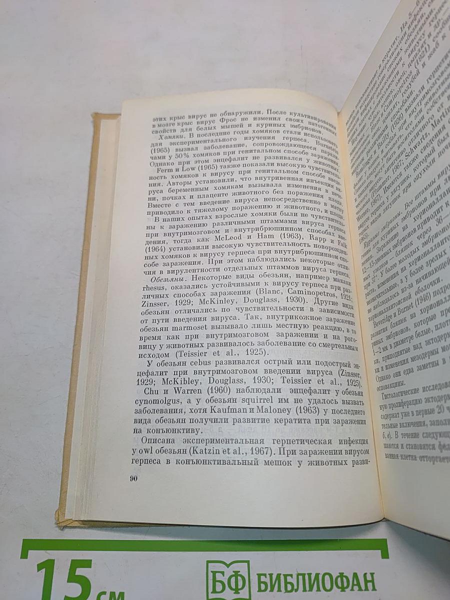 Герпес