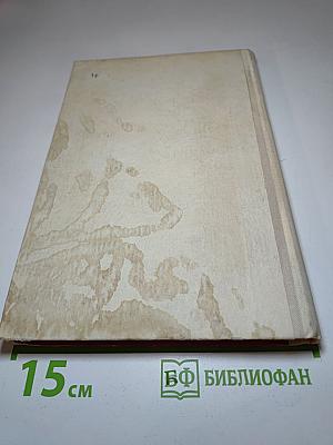 Где наша не пропадала