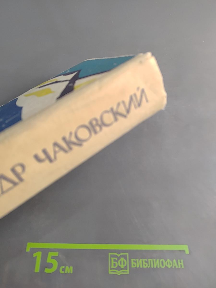 Год жизни. Дороги, которые мы выбираем