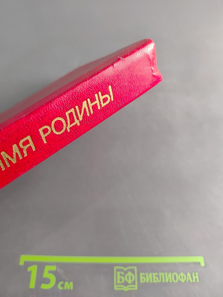 Во имя Родины