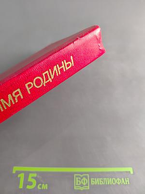 Во имя Родины