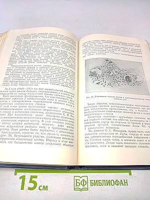 Повреждения позвоночника и спинного мозга и их хирургическое лечение