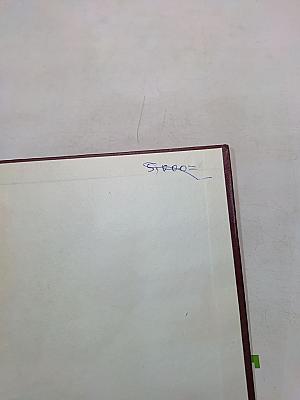 Гидронефротическая трансформация