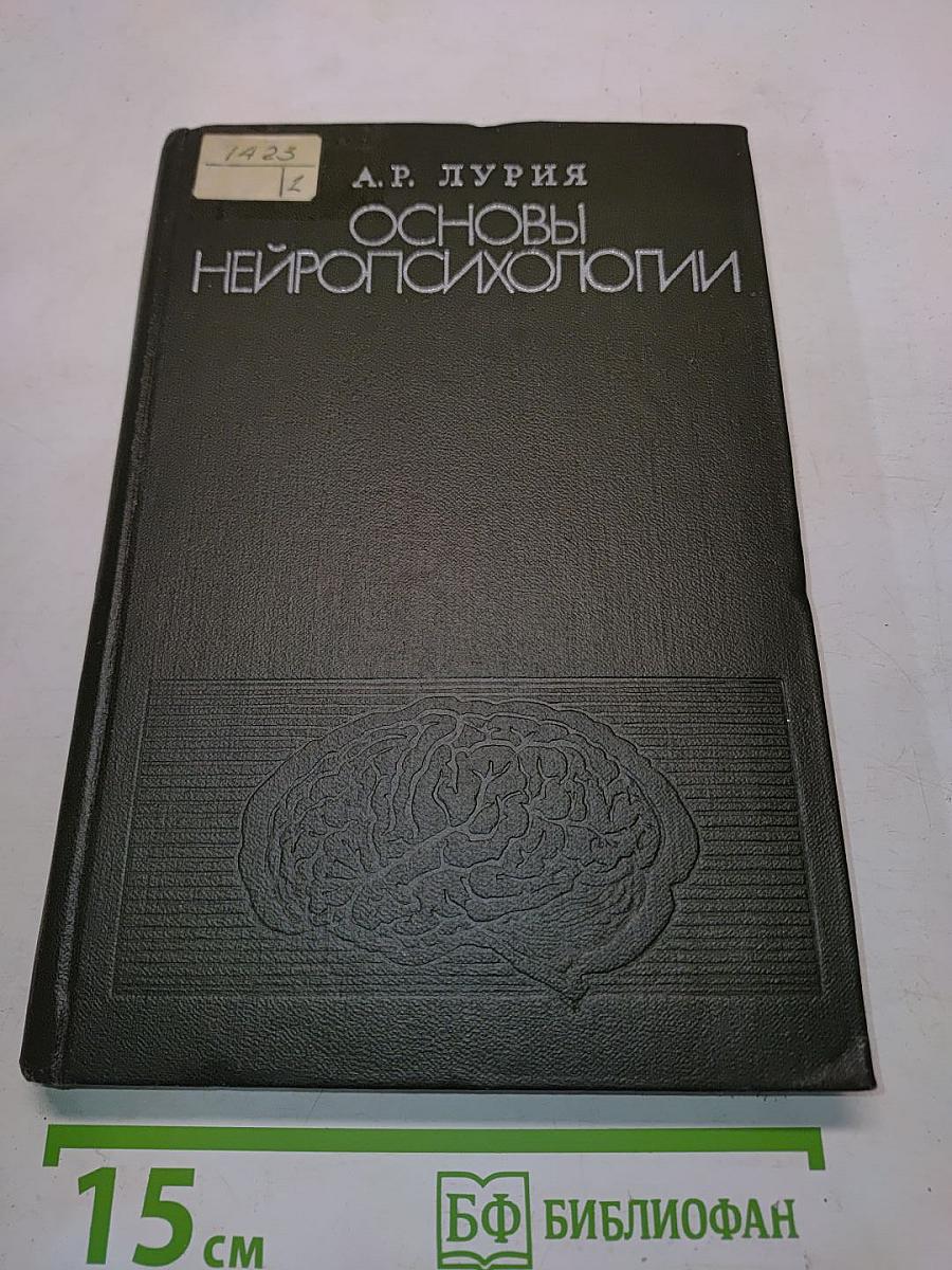 Основы нейропсихологии