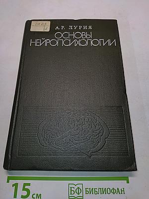 Основы нейропсихологии