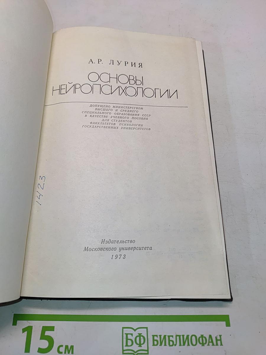 Основы нейропсихологии