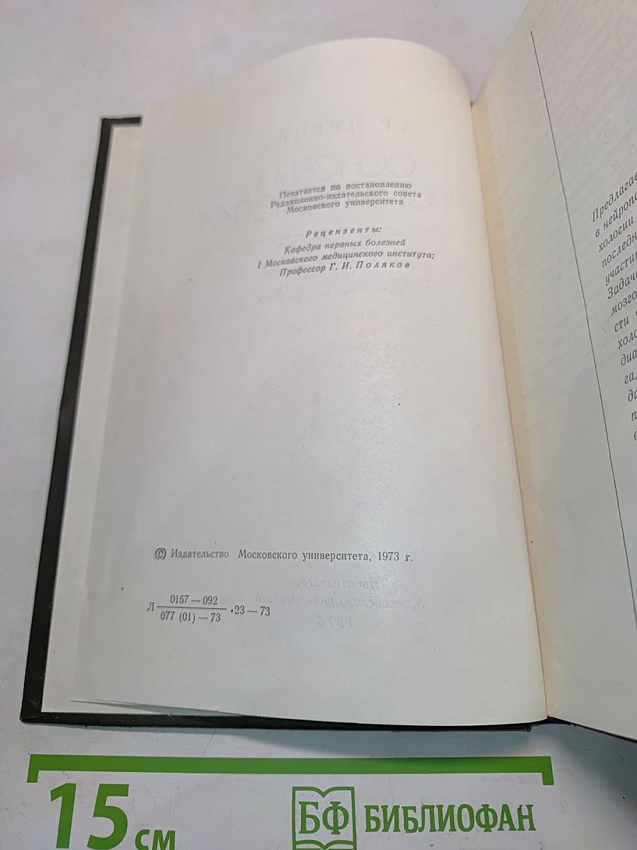 Основы нейропсихологии