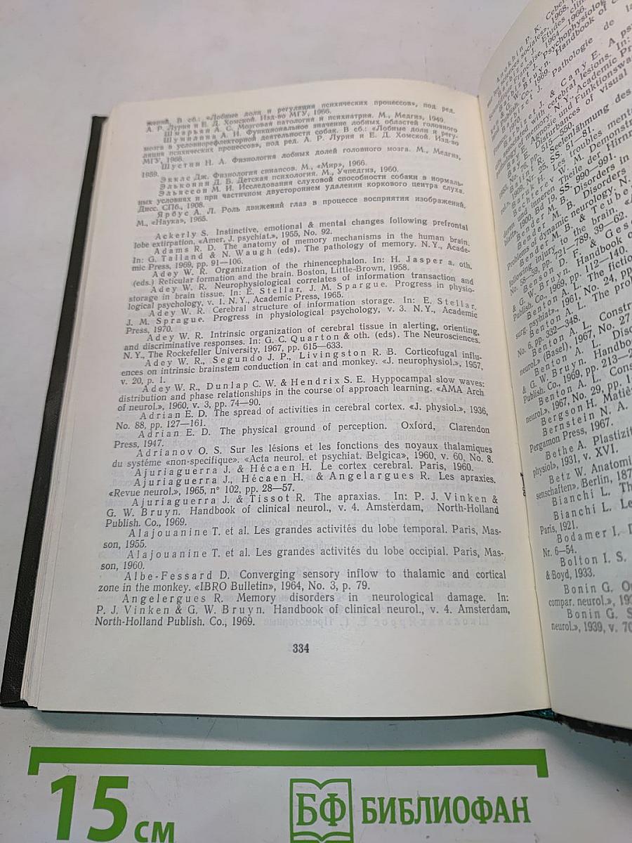 Основы нейропсихологии