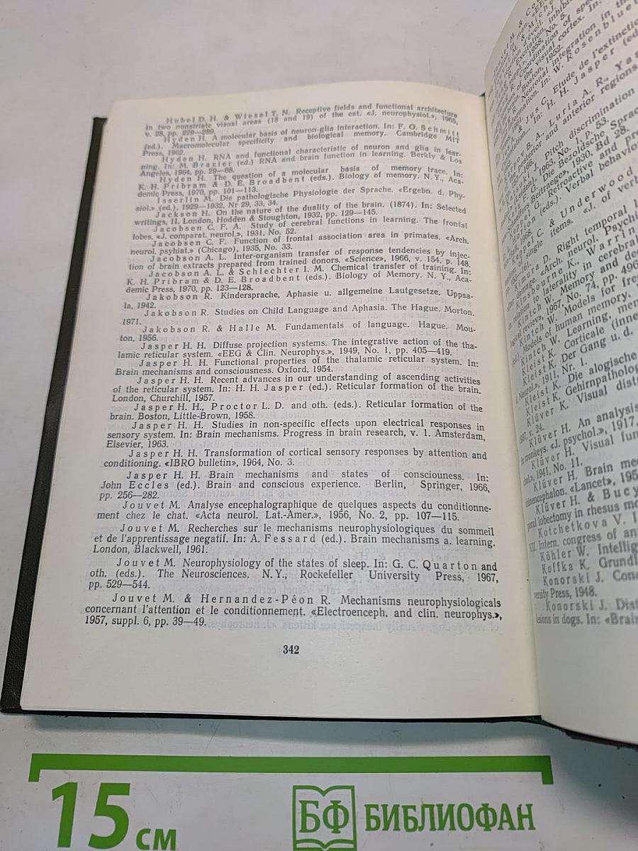 Основы нейропсихологии