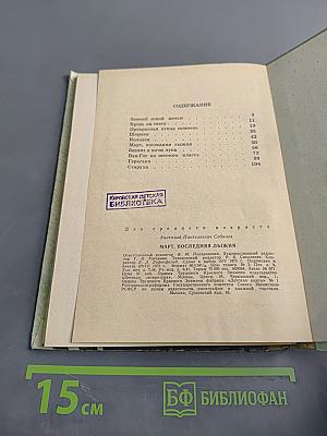 Март, последняя лыжня