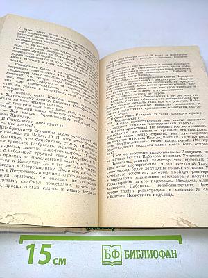 Выстрел на Фонтанке