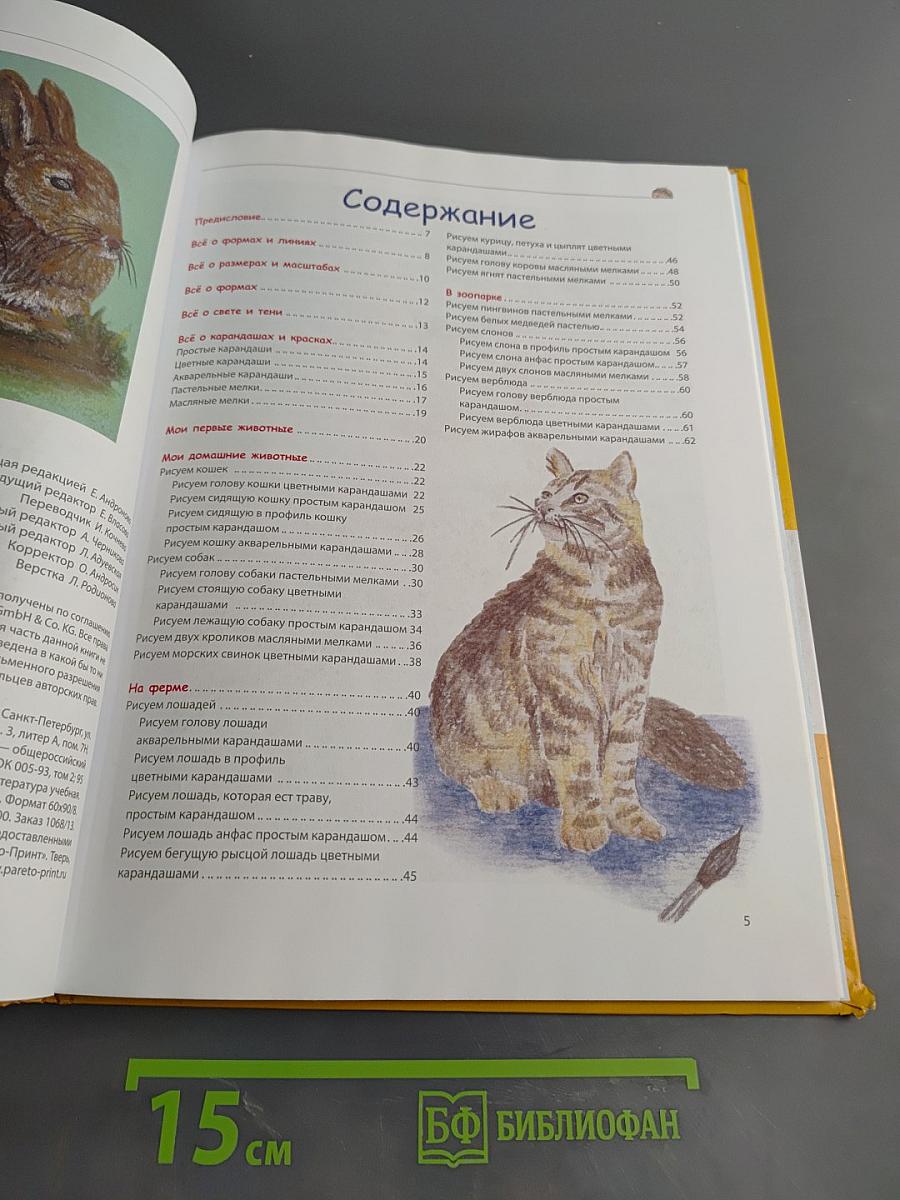 Мои первые уроки рисования. Я умею рисовать животных!