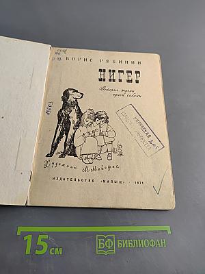 Нигер. История жизни одной собаки