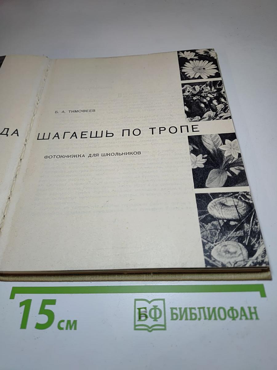 Когда шагаешь по тропе