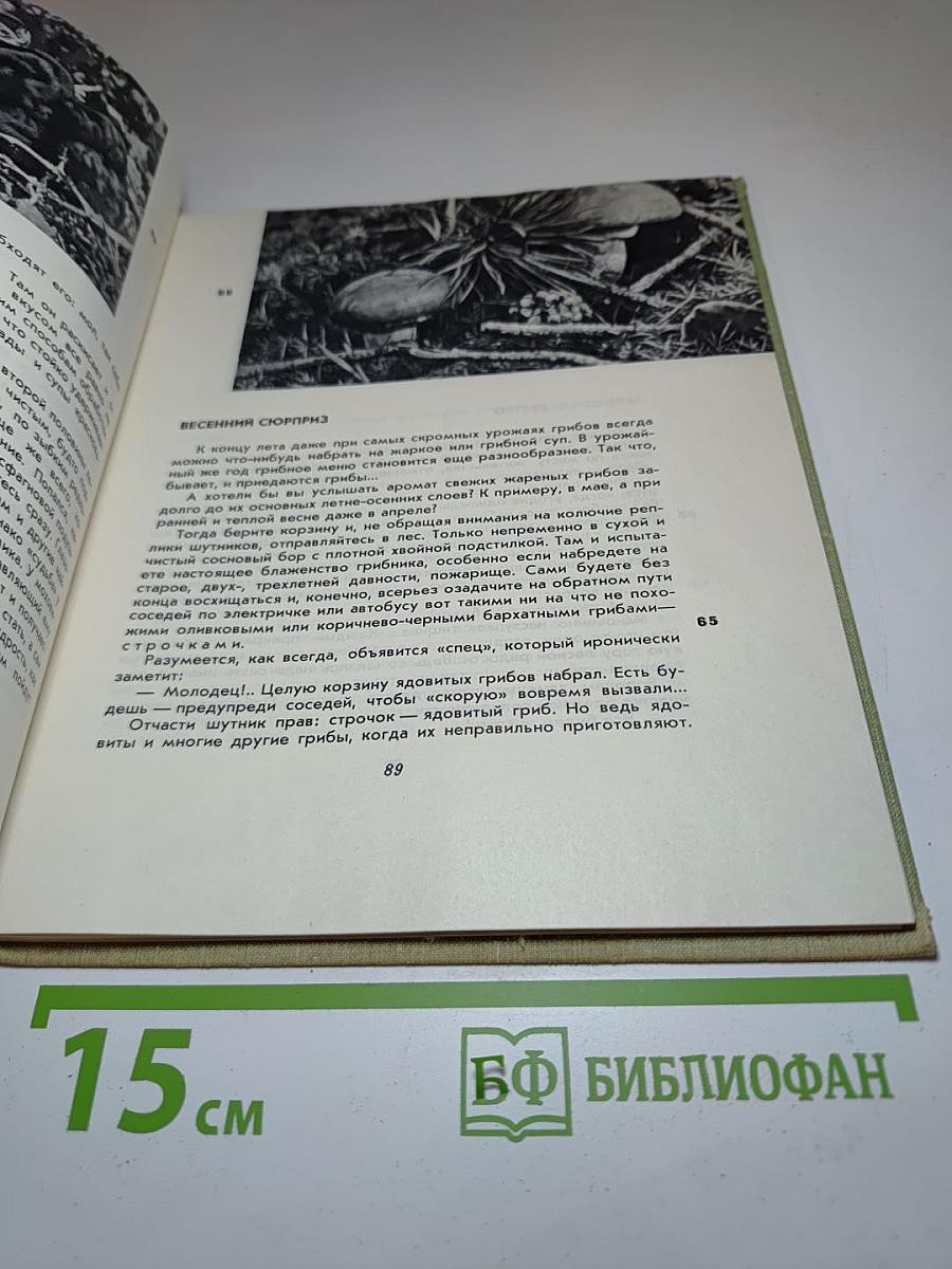 Когда шагаешь по тропе