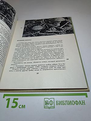 Когда шагаешь по тропе