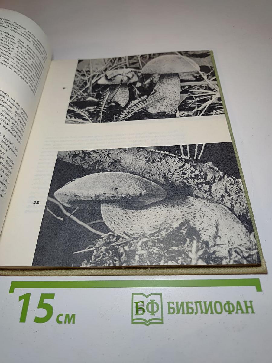 Когда шагаешь по тропе