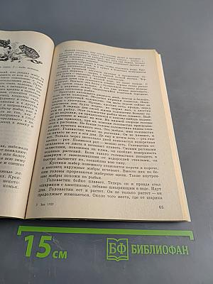 Мир животных. Занимательные рассказы о животных