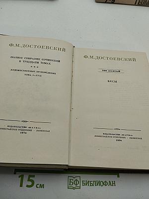 Бесы. Том 10