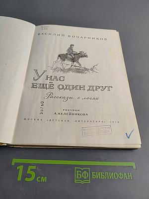 У нас ещё один друг. Рассказы о лосях