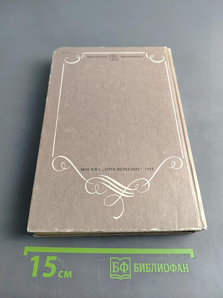 В мире русской литературы. Книга для внеклассного чтения. 6 класс