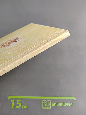 Рассказы из музыкальной шкатулки