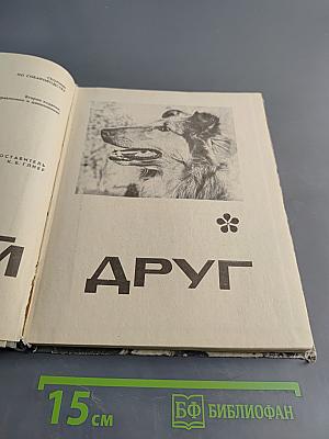 Твой друг